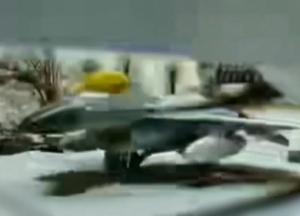 Росіяни знищили наш F-16 дроном біля Кропивницького, але є нюанс (відео)