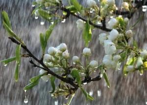 Прогноз погоды на 28 мая: в Украине сильные дожди и грозы