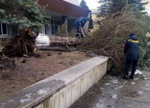 Ветер срывал крыши: в Прикарпатье пронесся ураган