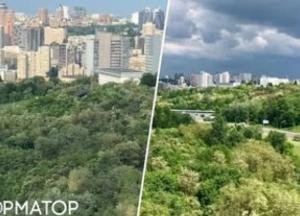 Верховний Суд захистив Протасів Яр: Київська зелена зона отримала статус заказника