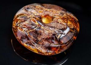 Ученые обнаружили в янтаре сперматозоиды возрастом 100 млн лет