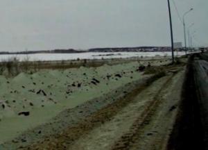 В России выпал зеленый снег (фото)