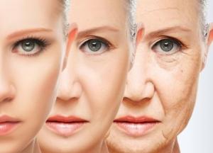 Ученые назвали ключевой фактор замедления старения 