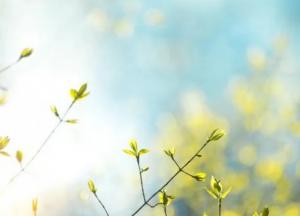 Прогноз погоды на 16 апреля: преимущественно солнечно и тепло