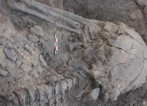 Археологи нашли останки сожженной 19 тысяч лет назад женщины 