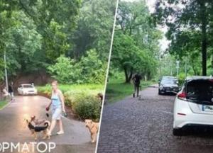 Голосіївський парк перетворився на проїжджу частину: кияни вимагають захисту від автохав