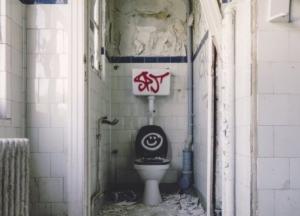 В Великобритании установят туалеты, которые будут мешать заниматься сексом