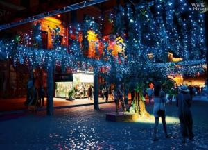 В Киеве прошли масштабные «Белые ночи»: какие украинские звезды посетили фест