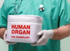 Кабмин уточнил правила письменного согласия доноров на трансплантацию