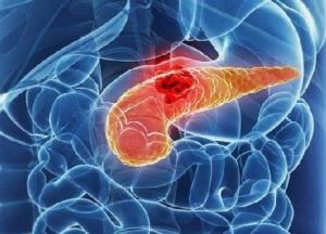 Названы продукты-«враги» поджелудочной железы