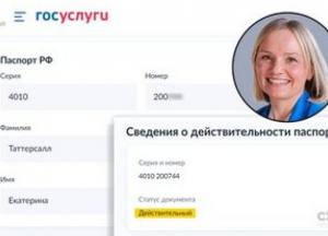 Громадянка РФ залишила керівництво бізнесу в Україні після розслідування «Схем»