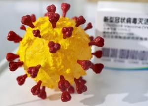 Ученые нашли эпидемию коронавируса 20 тысяч лет назад