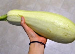 Врачи рассказали о пользе и вреде кабачков