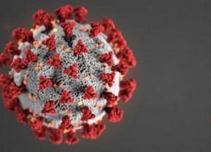 Ученые выявили три разновидности нового коронавируса