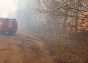 Пожар в Чернобыльской зоне удалось потушить