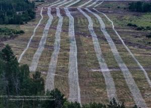 Українські військові збудували потужні укріплення на півночі Київщини