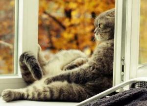 Прогноз погоды на 8 октября: в Украине сухо и солнечно