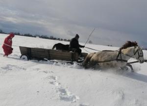На Житомирщине девушку везли к скорой на лошадях (фото)