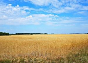 В Украине почти 2 тысячи сделок с землей: в какой области продали больше всего