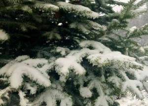 Настоящая зима: появились новые фото заваленной снегом Украины
