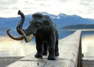 Ученые обнаружили останки взрослого мамонта в озере