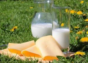 Медики рассказали, чем опасно употребление молока и кефира