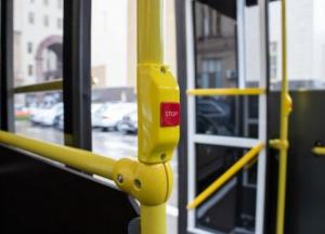 В Виннице с 1 июня проезд в маршрутках вырастет до 10 гривен