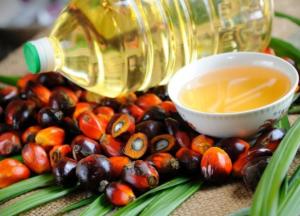 Эксперты рассказали, в чем вред пальмового масла