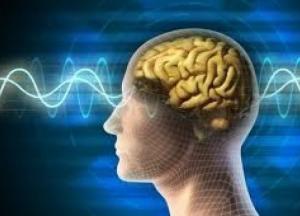 Названы эффективные способы замедлить старение мозга