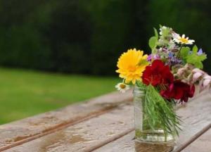 Прогноз погоды на 13 июля: ряд областей накроют грозы и шквальный ветер