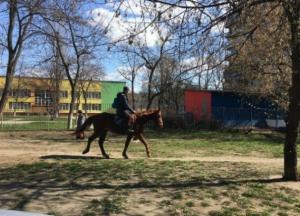 Киевлянин нашел оригинальный способ добираться на работу (фото)