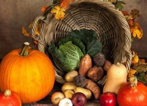 Диетологи назвали эффективные для похудения осенние продукты