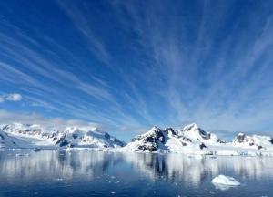 Во льдах обнаружены неизвестные существа