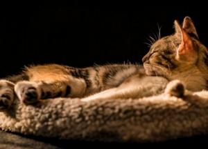 Прогноз погоды на 13 марта: снега и сильного ветра уже не будет