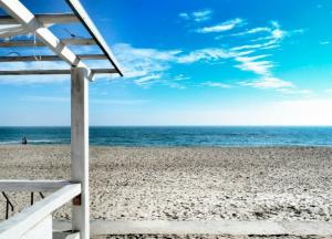 Украинцев попросили не купаться в Черном море