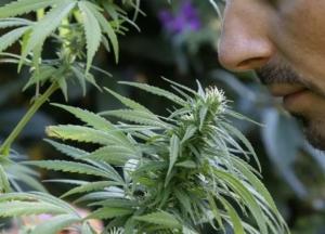 Как избавиться от запаха марихуаны