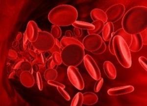 В мире таких всего четыре десятка: ученые нашли носителей «золотой» крови 