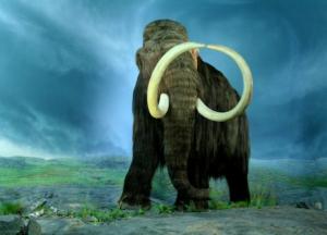 Ученые объяснили, что убило мамонтов