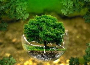 Сытой эпохе конец: только вегетарианство может спасти нашу планету