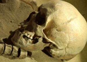 Ученые обнаружили череп древнего человека, жившего 2 млн лет назад