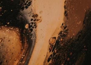 Особенности выбора темного пива и чем оно отличается от светлого