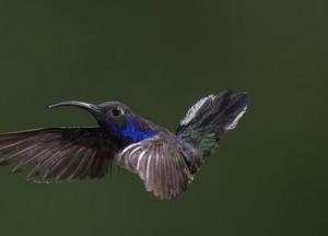 Ученые рассказали, что необходимо человеку для счастья