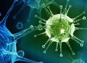 Ученые раскрыли новый механизм заражения COVID-19