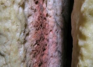 Ученые в Испании сделали историческое открытие о неандертальцах