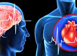 Врачи рассказали о первых признаках инфаркта и инсульта