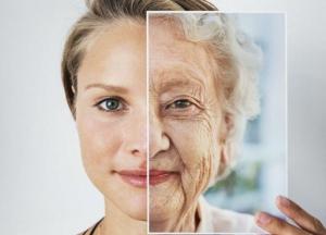 Ученые обнаружили "молекулу молодости"