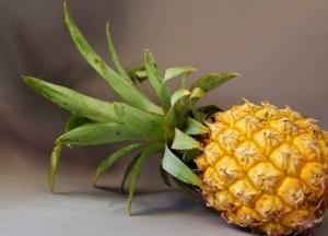 Назван лучший тропический плод для похудения