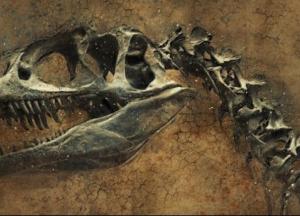 Ученые обнаружили животное, которое жило еще во времена динозавров