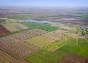 В Украине шестая часть земли обрабатывается неофициально