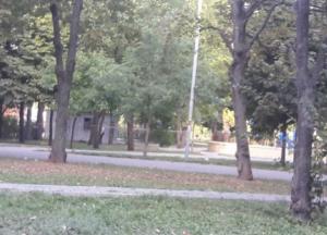 В парке Запорожья обнаружили труп мужчины (фото)